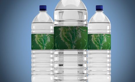 Premium Water Bottle Mockup