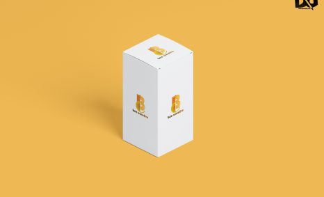 Pill Box Folder Mockup