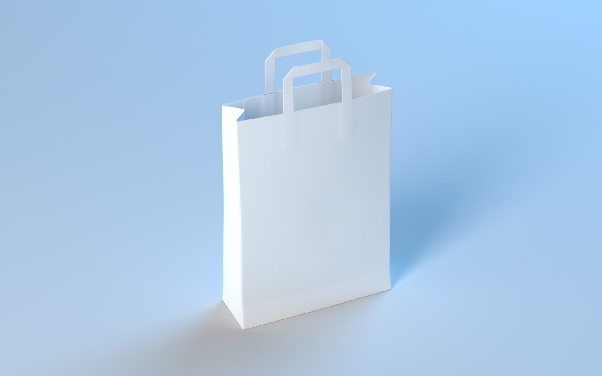 Shopping Bag Model