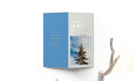 Dl Bi-Fold Brochure Mockup 2019