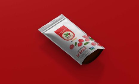 Free Long Paper Pouch Mockup